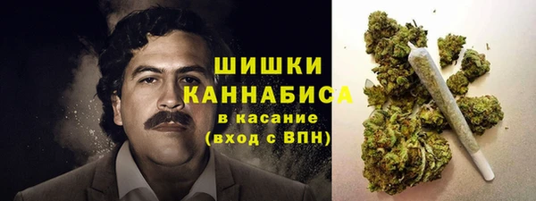 винт Белокуриха