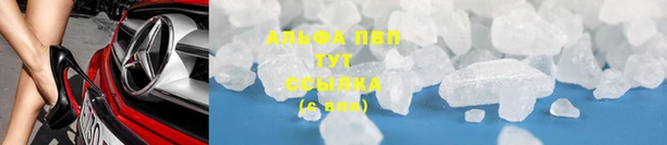 прущие крисы Беломорск