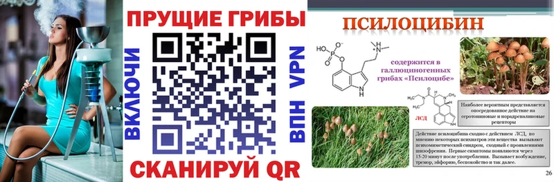 Псилоцибиновые грибы ЛСД  Новотитаровская 